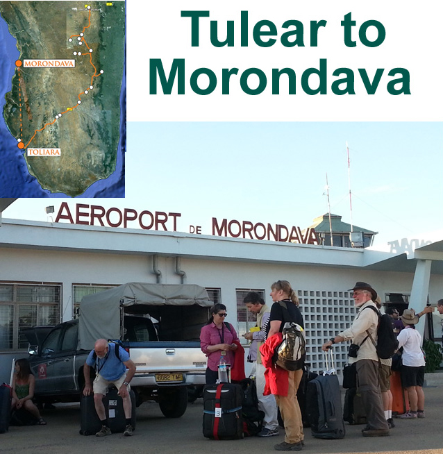 Tulear to Morondava